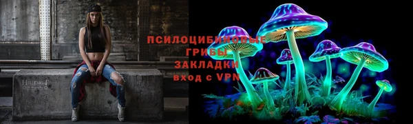 гашик Алзамай