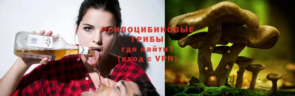 амф Белокуриха