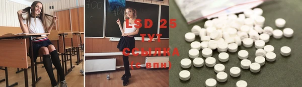 прущие крисы Богданович