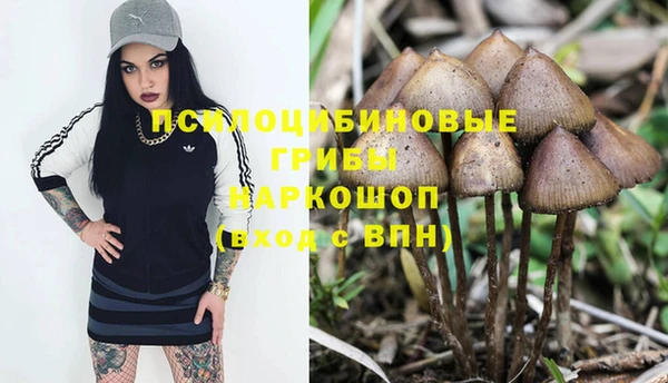 герыч Богородицк