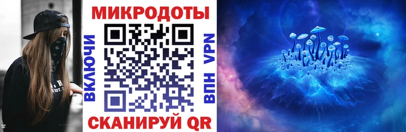 где можно купить   Красный Кут  Галлюциногенные грибы прущие грибы 